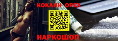 гидра Гатчина