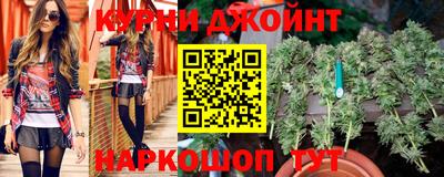 гидра Гатчина