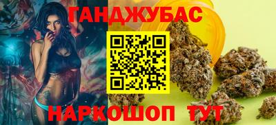 гидра Гатчина