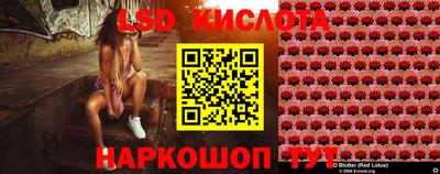 гидра Гатчина