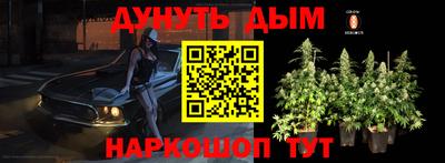 гидра Гатчина