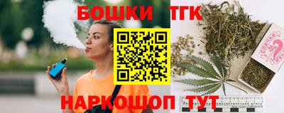 гидра Гатчина