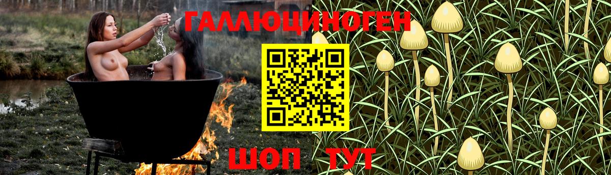 Псилоцибиновые грибы мицелий Миллерово